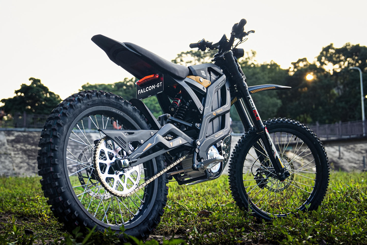 79bike Falcon GT